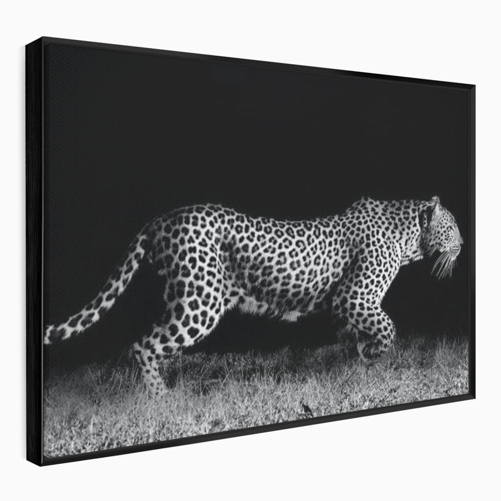 Tablou canvas cu tablou canvas cu jaguar nocturn, in rama de aluminiu negru